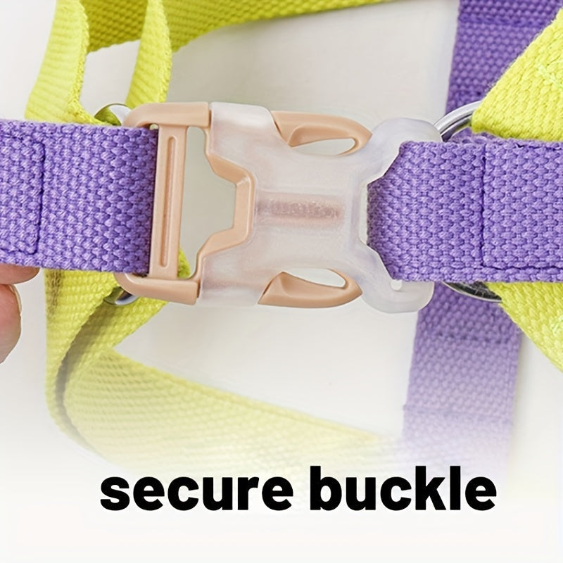 Rainbow Colorblock Pet Harness Leash: A Vibrant Adventure Awaits